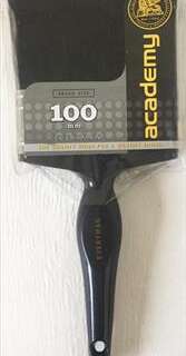 Paint Brush Everyman 100Mm Academy (F0208)