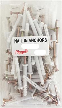 NAIL IN ANCHORS BULK 6X 55 PACK 100