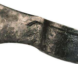 PICK EYE LASHER AXE HEAD 1.8KG 0295