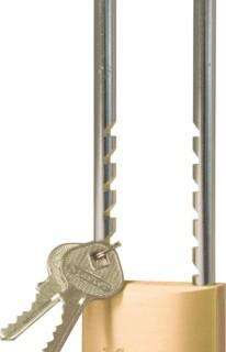 MASTER PADLOCK BRASS 50MM L/SHACK 300039