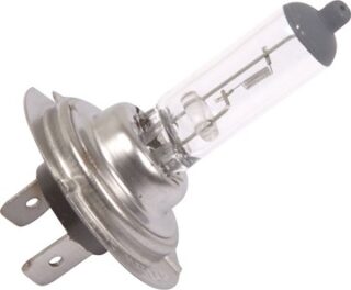 Globe Mq Halogen 55W #H7 T 12V