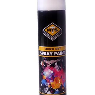 PAINT SPRAY WHITE APPLIANCE 300ML MTS