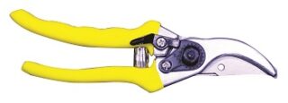 MTS SECATURE PRUNING MTS BY-PASS